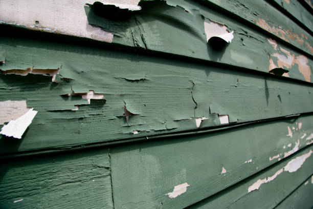 Best Custom Trim and Detailing for Siding  in Kohler, WI