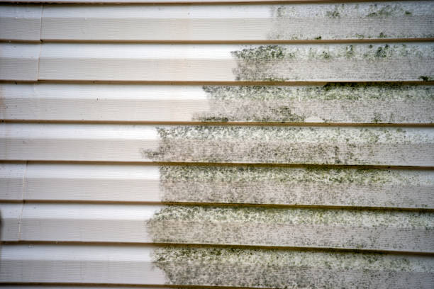Best Stucco Siding  in Kohler, WI